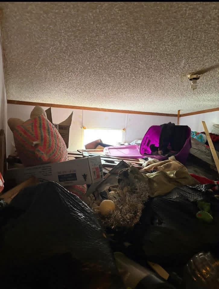 Interior cleanout before Top Notch removed items and debris
