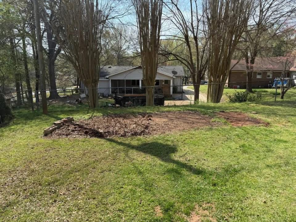 Yard area after brush and debris removal
